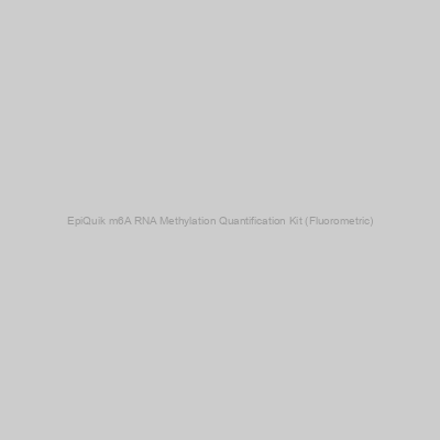 EpiGentek - EpiQuik m6A RNA Methylation Quantification Kit (Fluorometric)